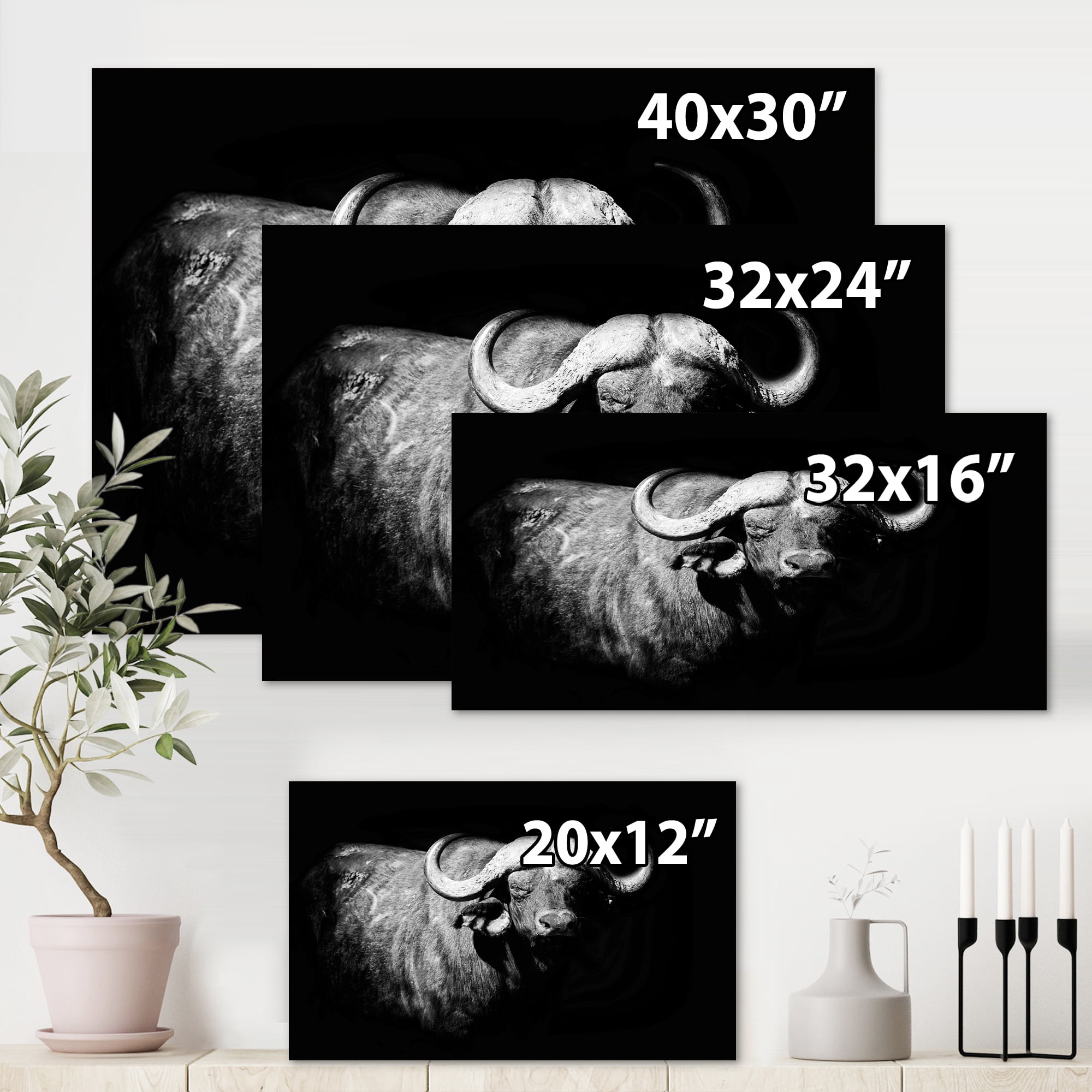 Designart ' Black and White Portrait Of Buffalo I ' Farmhouse Canvas Wall Art Print