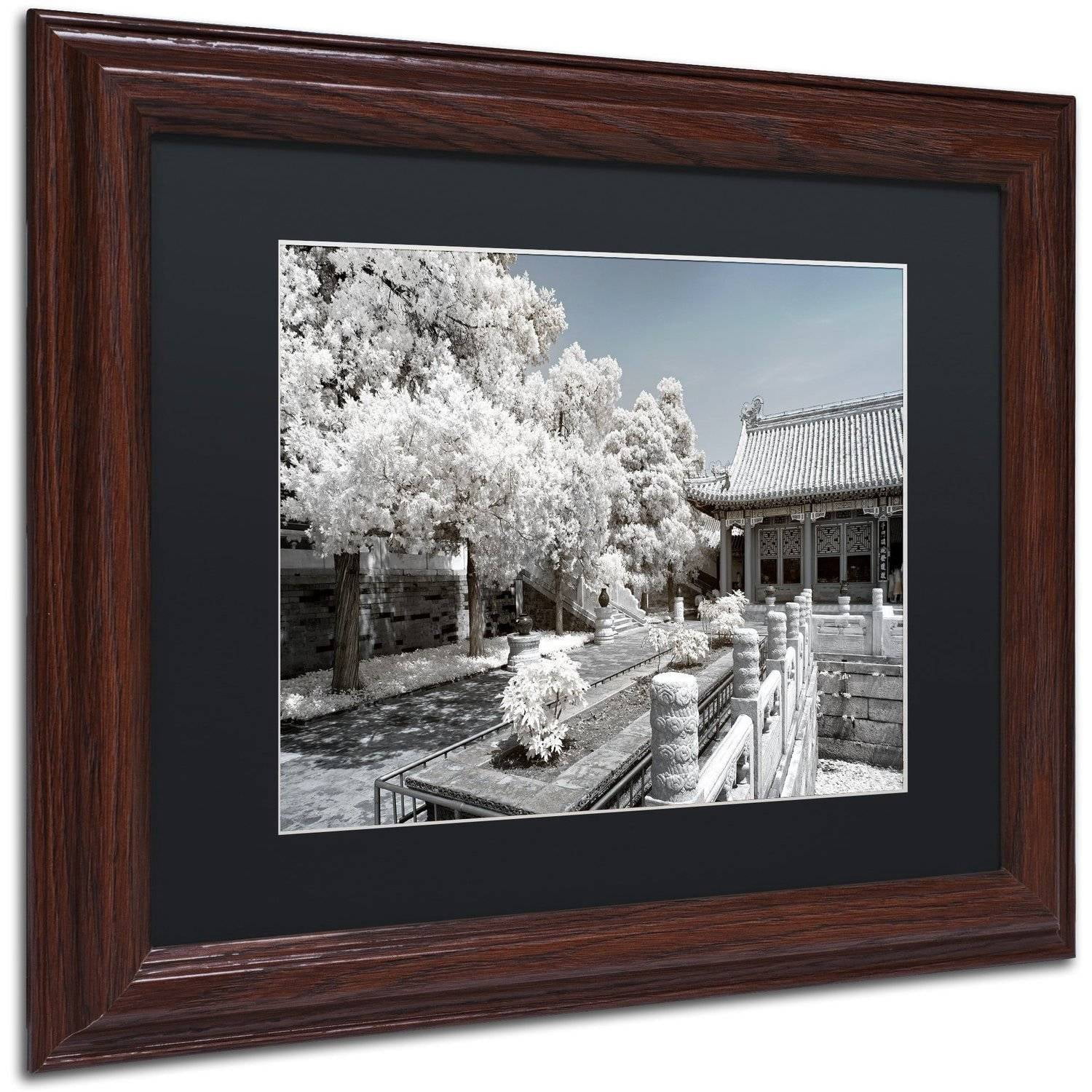 Trademark Fine Art "Reflection" Canvas Art by Philippe Hugonnard, Black Matte, Wood Frame