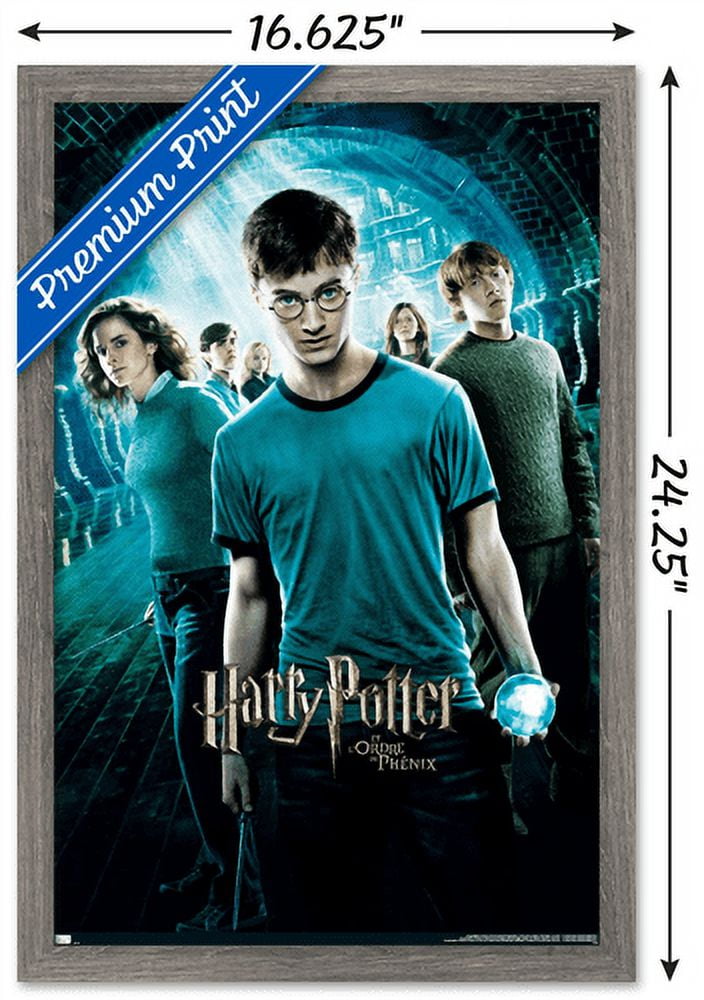Harry Potter and the Order of the Phoenix - One Sheet (French Version) Wall Poster, 14.725" x 22.375", Framed