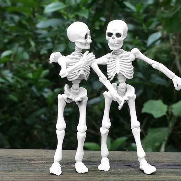 Whyan Halloween Skeleton Toy Movable Full Body Figure Mini Model Novelty Funny for Kids Adults Party