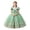 Mint Green, variant on Girls Puff Sleeve Bow Ball Gown Dress Embroidered Mesh Floor Length Birthday Party Pageant Princess Dress (13-14 Y, White)