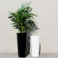 thumbnail image 3 of Root and Stock Sonoma Tall Cylinder Planter, 3 of 3