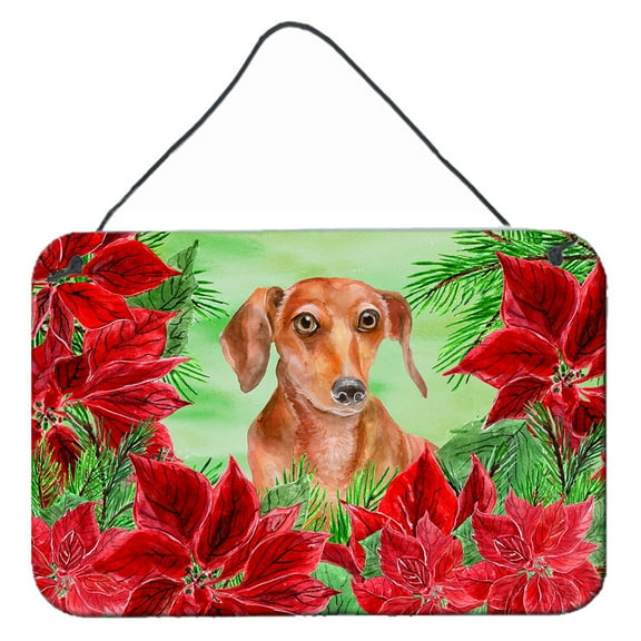 Carolines Treasures CK1355DS812 Red Dachshund Poinsettas Wall or Door Hanging Prints 8x12 multicolor