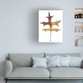thumbnail image 3 of Anne Tavoletti 'Colors of the Fall I Brown' Canvas Art, 3 of 4