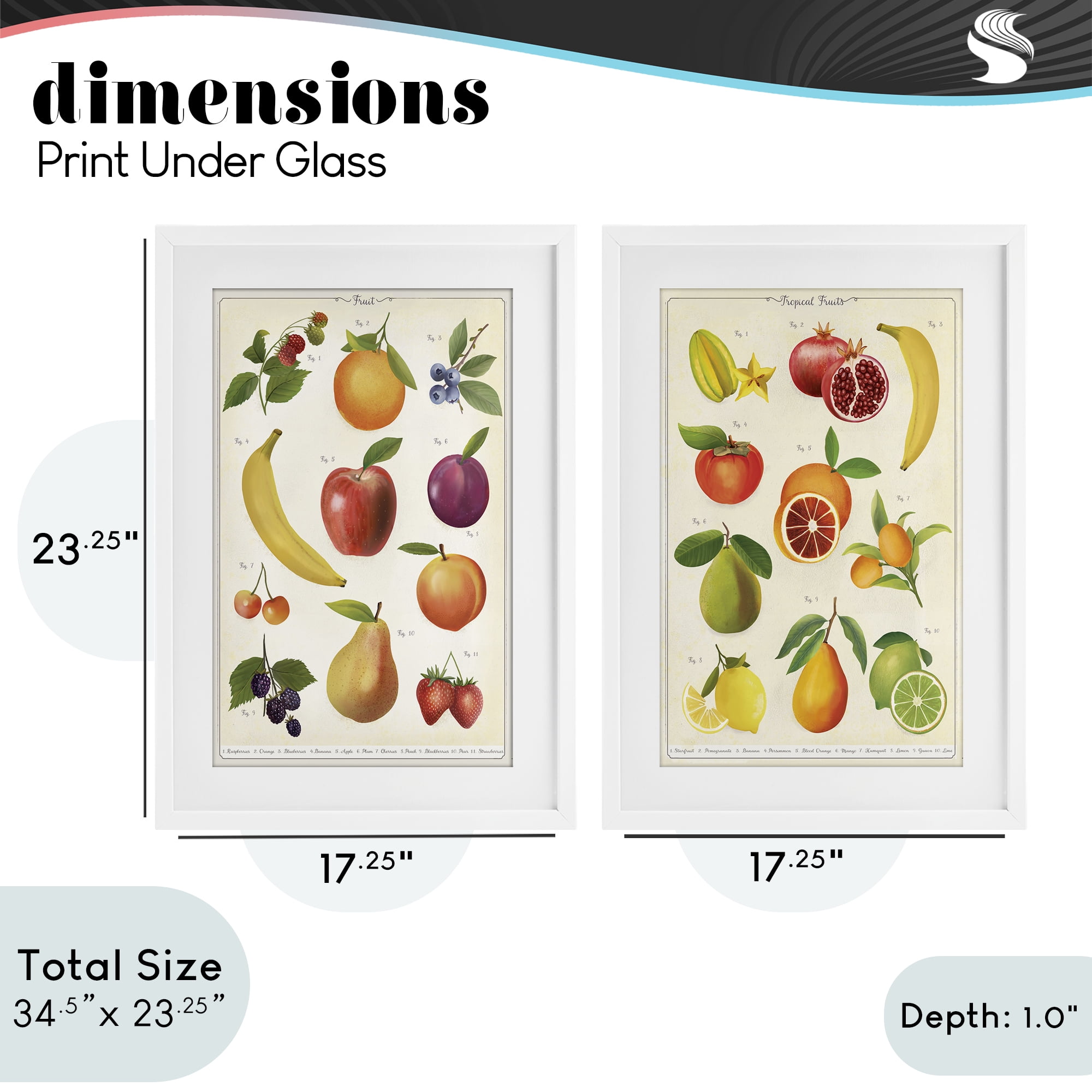 Stupell Industries Kitchen Studies Fruit 2 Piece White Framed Print Under Glass Set, design by Diane Neukirch