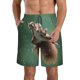 thumbnail image 1 of Fotbe Squirrel Trajes de Baño Estampados para Hombre, Shorts de Verano de Secado Rápido, Ropa de Playa, Bañadores-Small, 1 of 6