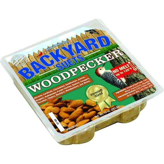 CountryMax Backyard Seeds No Melt Premium Suet Cakes 12 Pack for Wild Birds, Cardinals, Chickadees, Goldfinches (Woodpecker)