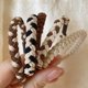 thumbnail image 4 of Gomas elásticas para el pelo para niña y mujer, coleteros para el pelo, accesorios para el cabello, 5 piezas, 4 of 4