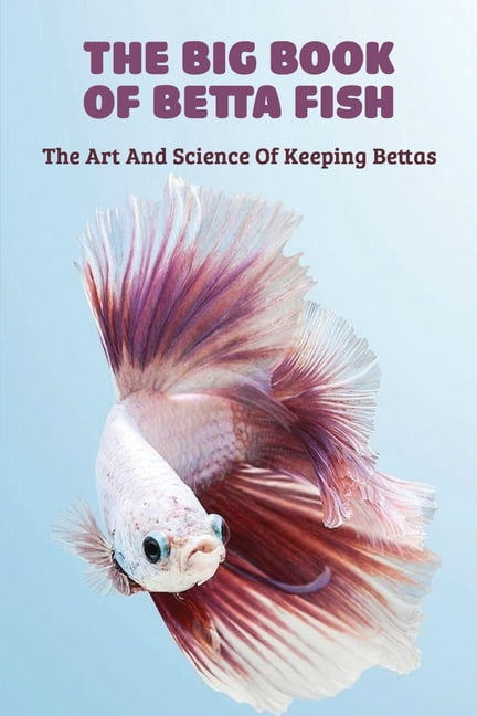keeping bettas