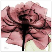 Empire Art Direct Chianti Rose II Frameless Free Floating Tempered Glass Panel Graphic Wall Art, 24" x 24" x 0.2", Ready to Hang