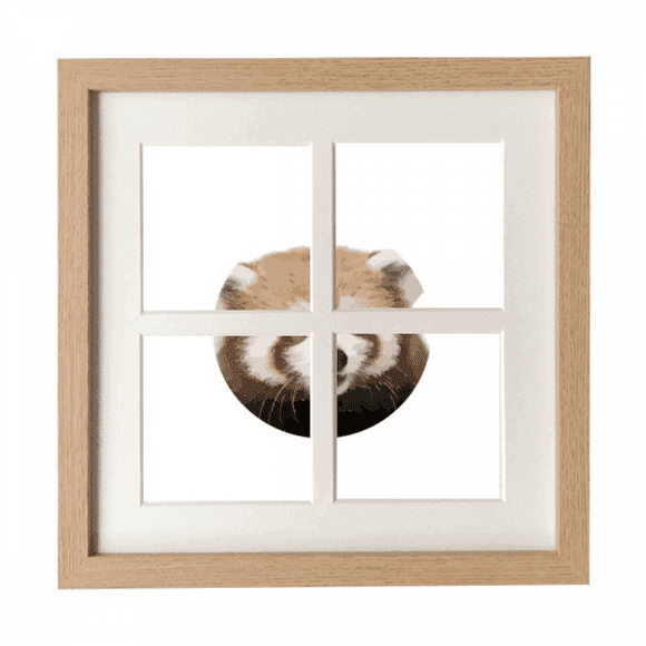 Brown Jungle Civet Cats Lovely Little Frame Wall Tabletop Display 4 Openings Picture