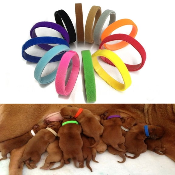12 Pack Pet ID Collars for Puppies and Kittens, Soft Whelping Bands with Adhesive Label Strips, Adjustable Cut-to-Fit Collars for Small Dogs Cats, Pet Care Supplies