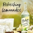 thumbnail image 4 of Belvoir Farms Sparkling Elderflower Flavored Lemonade, 8.4oz 4 Cans, 4 of 5
