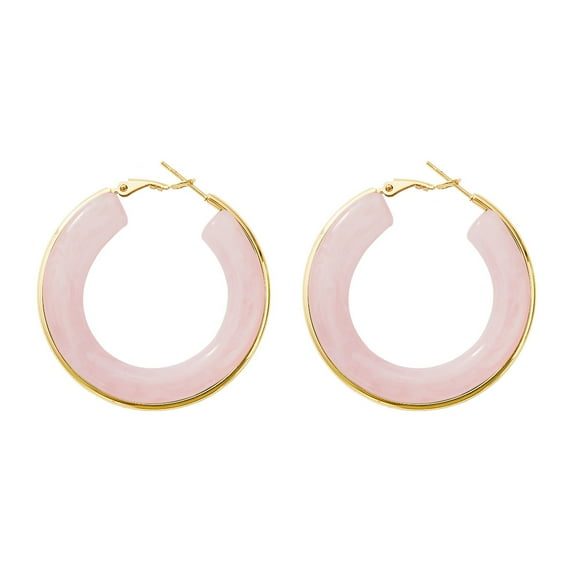 Nvzi -b Stainless Steel Summer Pink Color Circle Resin Hoop Earrings for Women Statement Ear Studs Bohemian