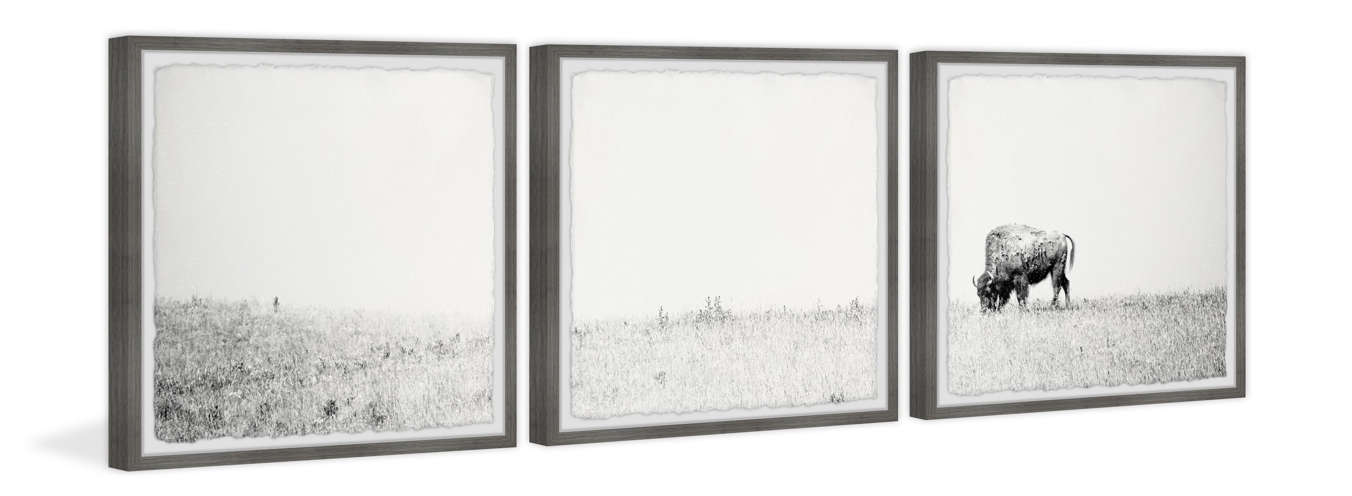 Marmont Hill Distant Grazing II Triptych, 32" x 96"