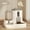 Grey, variant on [2-in-1 Cat Feeder] 2-in-1 Automatic Cat Feeder - Quantitative Feeding for Pet Diet Health - Cute Water and Food Dispenser