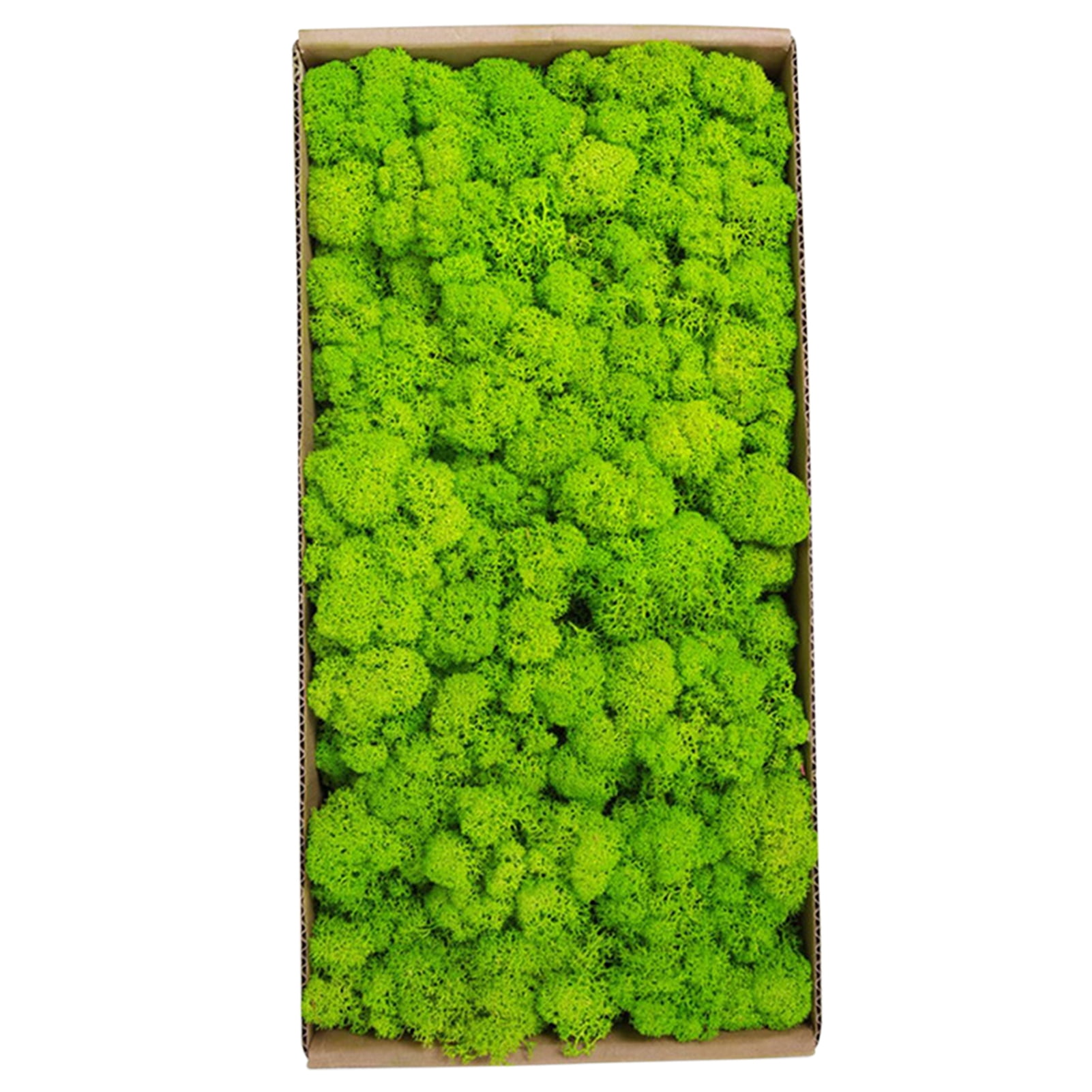 Moss Wall Decor Indoor Preserved Moss Gardenning Art Wall Decor Moss Bulk Micro Landscape Decorative Props