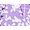 Purple Print, variant on Catherines Women's Plus Size Georgette Button Down Tie Sleeve Cafe Blouse