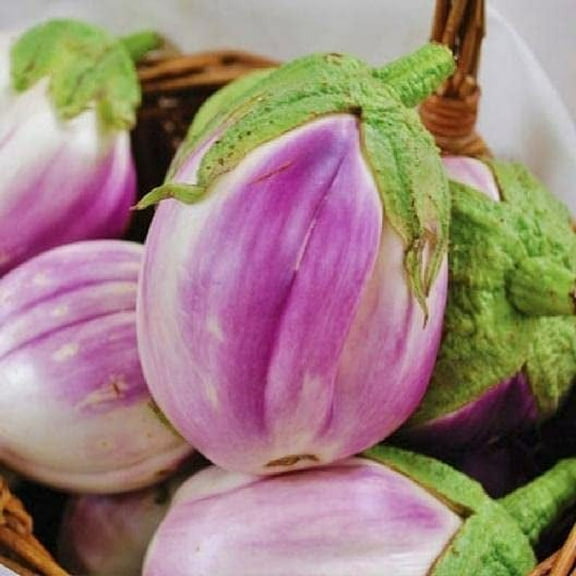 Rosa Bianca Eggplant Seeds, 50  Heirloom Seeds Per Packet -, Non GMO Seeds, Botanical Name: Solanum melongena