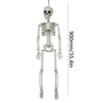 thumbnail image 4 of Modelo de anatomía corporal de Halloween, esqueleto de tamaño completo, hueso de mano, decoraciones para fiesta en casa, 4 of 9