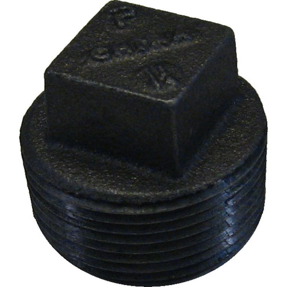 1-1/4" Black Iron Plug