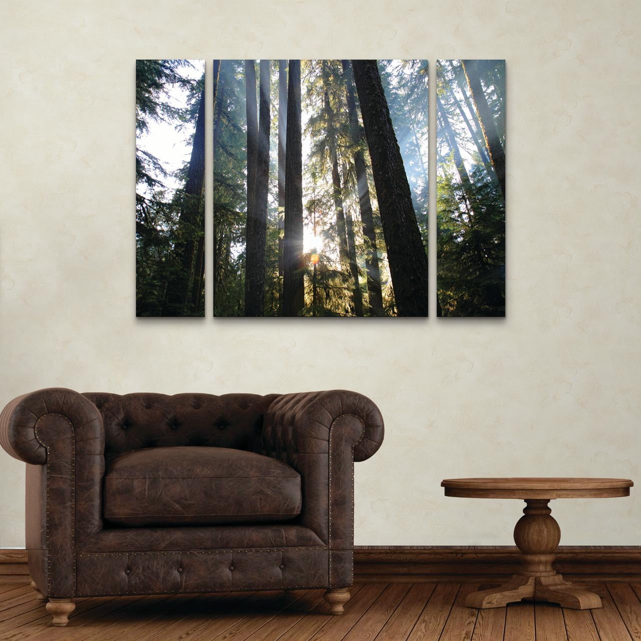 Trademark Fine Art 'Sunrays' Canvas Art by Pierre Leclerc