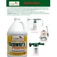 thumbnail image 6 of Grower's Honey Plant Based Amino Acid Plant Growth Fuel for Huge vegetative Growth, Bigger Flowers, Jumbo Fruits and Vegetables 1 Quart Concentrate, 6 of 7
