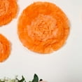 thumbnail image 2 of BalsaCircle 6 Pieces 12" 16" 20" Coral Orange Carnations Large Tissue Paper Flowers Wall, 2 of 5