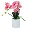 thumbnail image 2 of White Faux Orchid in Pot - Fake Potted Flowers, 2 of 4