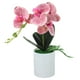 thumbnail image 2 of Planta artificial en maceta de orquídea para decoración de mesa, 2 of 5
