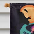 thumbnail image 3 of Boston Terrier Witchy Halloween House Flag 28 in x 40 in, 3 of 7