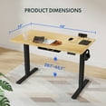 thumbnail image 2 of Flexispot 48"x24" Electric Standing Desk with Solid Bamboo Desktop, Height Adjustable Ergonomic Home Office Sit Stand Desk with Power Outlets, Cable Management & Black Frame Computer Workstation, 2 of 11