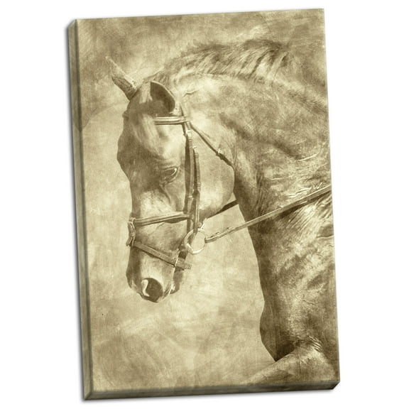 Gango Home Decor Diego II by Alan Hausenflock (Ready to Hang); One 24x36in Hand-Stretched Canvas