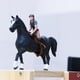 thumbnail image 4 of de animal coleccionable de en miniatura Adornos desmontables Mini caballo de granja con de para niños, 4 of 9