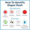 thumbnail image 4 of Penaten Original Medicated Diaper Rash Cream, Baby Diaper Rash Cream, Zinc Oxide, 4 of 9