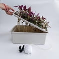 thumbnail image 3 of Kit de sistema de hidropónico Caja de plantas sin Contenedor de de lechuga de hierbas, 3 of 9