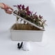 thumbnail image 1 of Kit de Hidropónico para Sitio de Planta 11 Agujeros Perfecl, 1 of 8