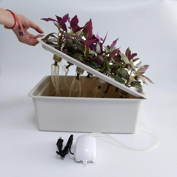 11 Holes Growing Indoor Lettuce Planters