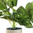 thumbnail image 3 of Decoración del hogar plantas en macetas-plantas verdes artificiales, 3 of 5
