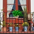 thumbnail image 1 of Moluckfu 1Jgo Jardinera Colgante De Pared Con Para Y Plantas De Interior, 1 of 6