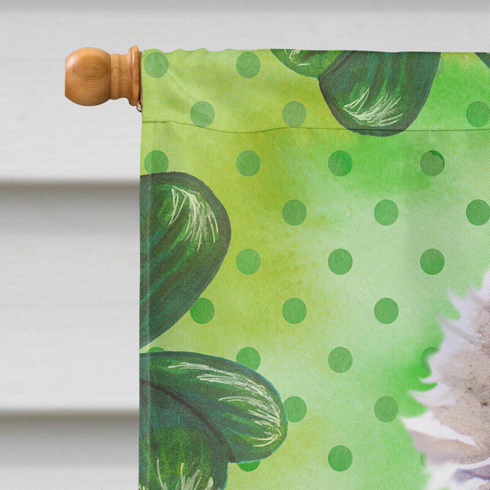 Carolines Treasures BB9839CHF Poodle St Patricks Flag Canvas House Size  Large multicolor