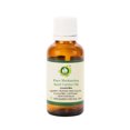 thumbnail image 1 of Muskmelon Seed Oil Cucumis Melo For Skin For Hair Growth Moisturizes Skin Anti Aging For Face For Eyes Pure Natural Cold Pressed 15ml 0.507oz By R V Essential, 1 of 2