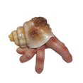 thumbnail image 1 of POINTERTECK Prank Props Horrible Shell Finger Ornaments Funny Resin Decoration for Home Desktop Crafts Party Decor, 1 of 7