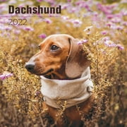 Dachshund Calendar 2021-2022 - Dog Breed Monthly Wall Calendar - Made In USA - 12 x 24 (Open) - Planner Calendar for Organizing & Planning