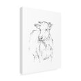 thumbnail image 2 of Ethan Harper 'BoVIne Quick Study II' Canvas Art, 2 of 3
