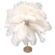 thumbnail image 5 of Lámpara de mesa de plumas de avestruz recargable, moderna y romántica, para decoración del hogar, color blanco, 5 of 14