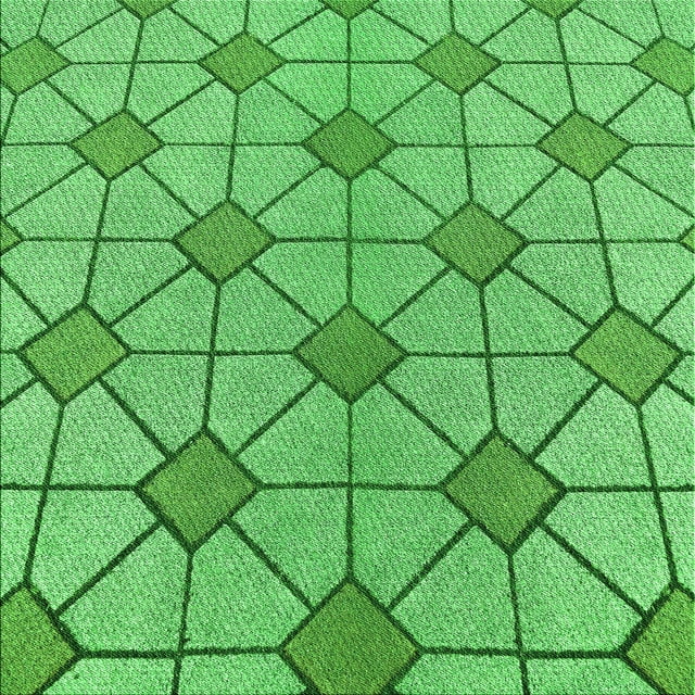 Ahgly Company Tapis d'Intérieur Lavable en Machine Carré Vert, 4 Pieds Carré
