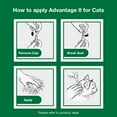 Advantage II Flea Prevention for Large Cats 9 lbs+, 4