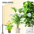 thumbnail image 5 of T10 Pro Standing Grow Light with Timer, 42W, 169 LEDs, Full Spectrum Vertical Grow Light for Indoor, Wide Coverage, 4FT to 5.6FT Height with Foot Switch, Ideal for Flowering and Tall Plants, 5 of 9