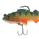 thumbnail image 3 of 2 uds, señuelos de suave con ojos 3D realistas, señuelos de natación con cola en anzuelos para trucha, salmón, lubina Verde DYNWAVEMX Señuelos de pesca de plomo suave, 3 of 7